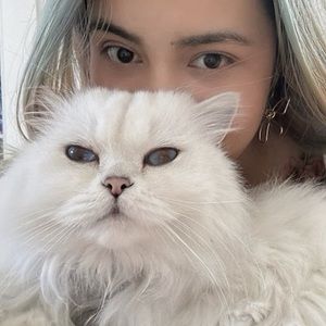 Meet your Posher, María josé